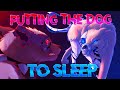 Cheetwo & Vexus -"Putting the dog to sleep" Animatic