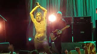 Iggy Pop Live Sydney - Wild Child (Wild One) 17/04/2019