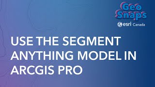 Use The Segment Anything Model In Arcgis Pro