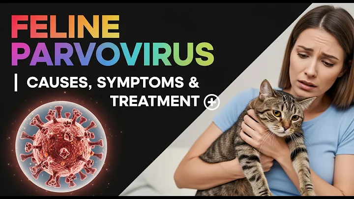 Your Cat Could Get This | Feline Parvovirus Warning!
