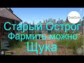 Старый Острог Фармить можно Щука