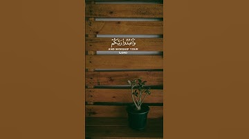 القارئ عبد الرحمن مسعد 🌿