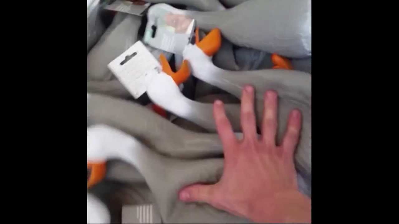 duck army vine