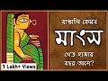             history of bengali food bengali 