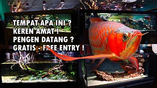 Tempat Apa ini ? Keren Amat ! Pengen Datang ? Gratis !