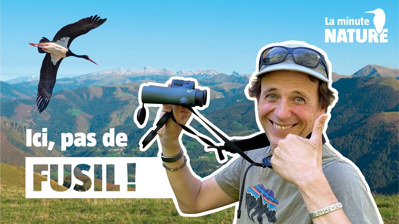 LA MIGRATION DES CIGOGNES ET DES RAPACES (No 363)