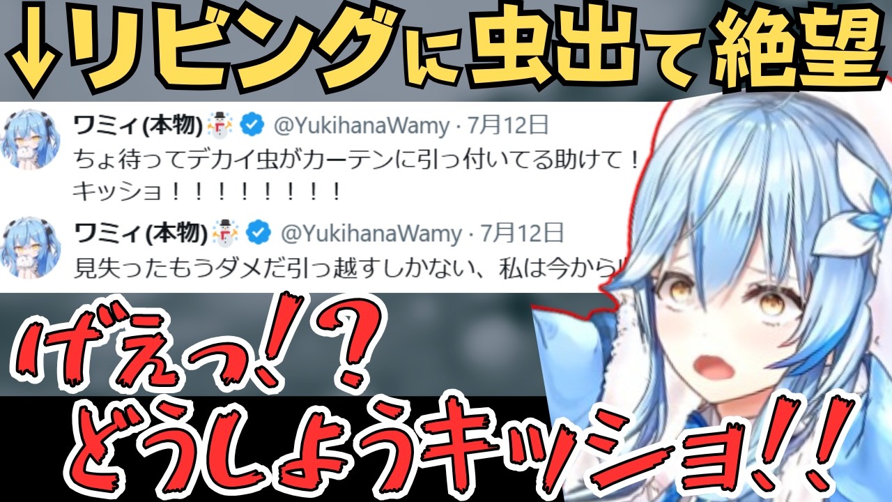 リビングに虫が出たときの話をするラミィちゃん【雪花ラミィ 切り抜き/ホロライブ】