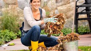 8 идей-что делать с опавшими осенью листьями