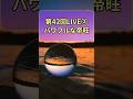 第42回② 「帝旺」非常にパワーが強い星 四柱推命十二運勢