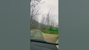 Swat Charbagh Swat Charbagh Mingora 