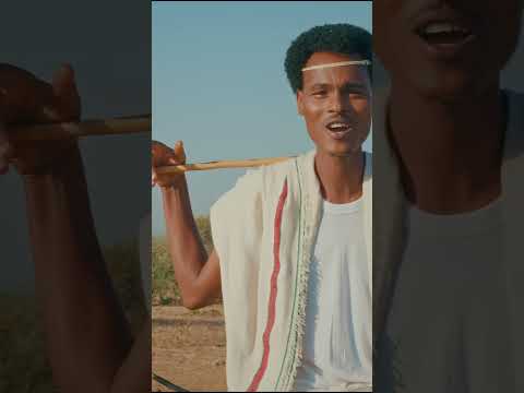 Kuullee Alii Shorts Short Africanmusic Habesha Africanmusic Music