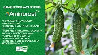 Біодобриво для огірків Aminorost™