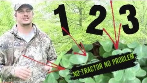 HOW to PLANT a WHITETAIL FOOD PLOT with NO TRACTOR or IMPLEMENTS. EASY 3 STEP PROCESS!