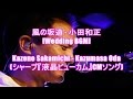 風の坂道 - 小田和正[Wedding BGM]Kazeno Sakamichi - Kazumasa Oda(シャープ『液晶ビューカム』CMソング)