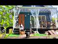仲が悪くなってしまった理由 / 泣きたいこと【犬と猫と田舎暮らし】