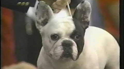 Ben at the 1999 FBDCA National in BOB Competition