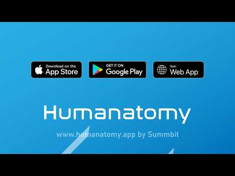 Humanatomy
