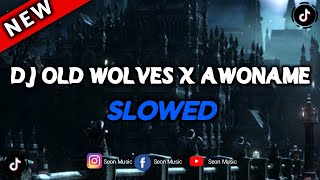 DJ Old Wolves x Awoname Slowed 2k24 | DJ Lloyd Drop Remix