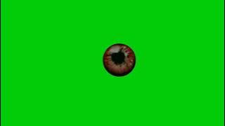 Nagin season 3 Ruhi snake eye green screen 🐍