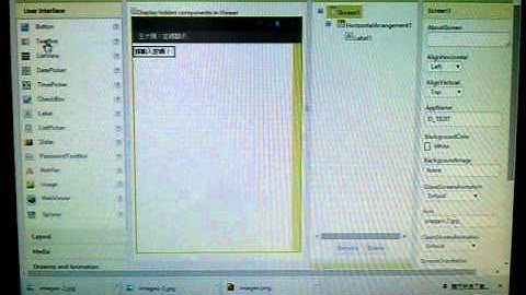 appinventor 2 顯示密碼說明