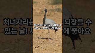 06월26일별자리운세#2025년운세 #별자리운세 #양자리 #황소자리 #쌍둥이자리 #게자리 #사자자리 #처녀자…