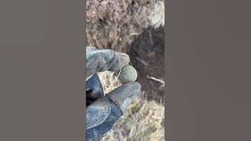 War of 1812 British military artillery button found metal detecting #metaldetecting #exploring #old