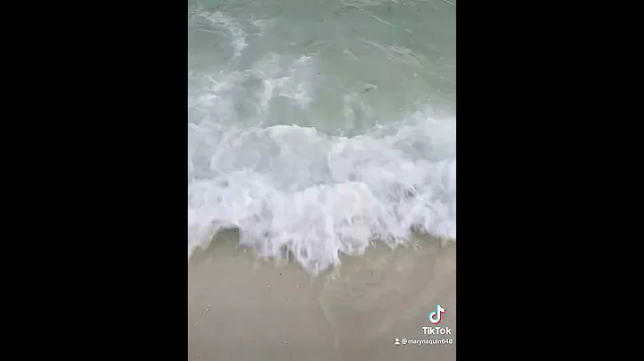 Trip to Pensacola