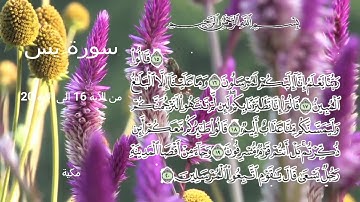 سورة يس - اليوم  الثالث - من الاية 16 الى الآية 20