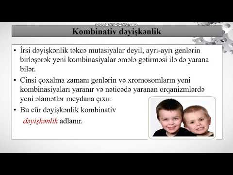 Video: Qorillalar Barmaqların Arasında Membran şəklində Mutasiyalar Görməyə Başlayır