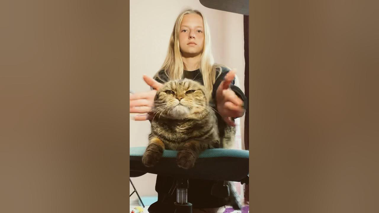 Ахаха 🤣 #dance #гимнастка #кошка #кот #смех #животные #challenge #спорт ...