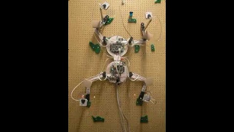 Climbing Robot: Capuchin