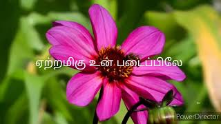 Video thumbnail of "Tamil Christian song || En nenja veenayil  || Mega hit song"