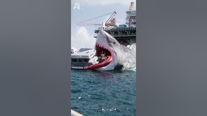 Before VS After Animal Transformation🤯| Amazing Animals Transformation