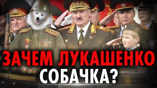 ШЕЙТЕЛЬМАН: Колю Лукашенко заколдовали! Саша 3% моргнул, что его пытают.