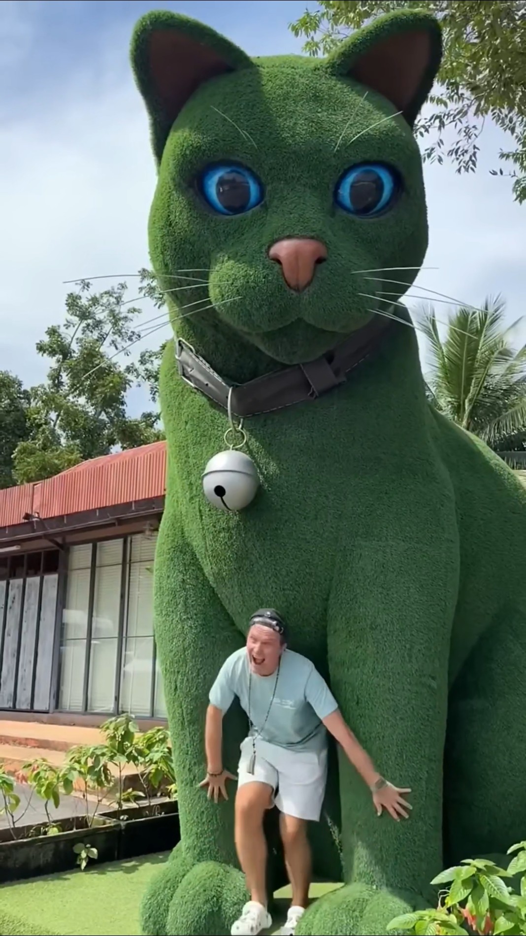 This cat really alive 😺😺😺 - YouTube
