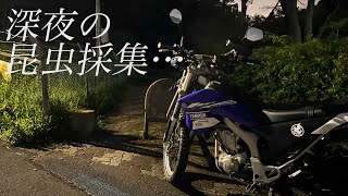クワガタを探して彷徨える蒼い弾丸WR250XのHID仕様フォグランプ