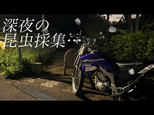 ごにゃむ様　リクエスト にゃむの画廊 - البحث / X