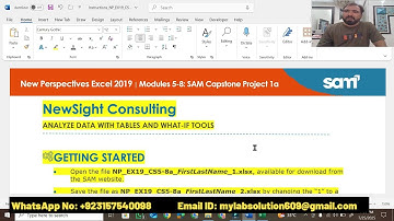 New Perspectives Excel 2019 | Modules 5-8: SAM Capstone Project 1a | NewSight Consulting