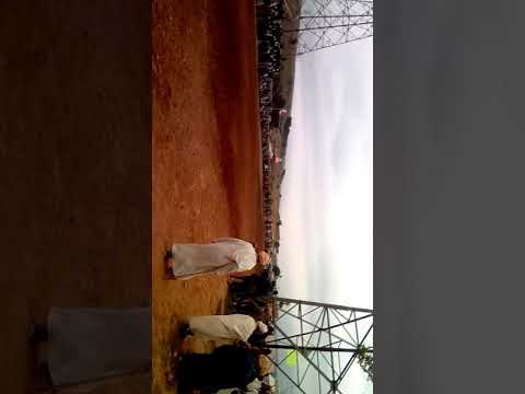 علفة عكرمة شيخ بشير بهلول طعم سيدي بومدين 18 افريل 2019