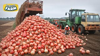 Modern Onion Farming Technology: How to Process TONS of Onions in Factory