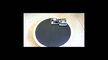 Sumo Bot robots in battle