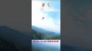 Funny Fail - bungee jumping - Funny Rope Diving Video (148) screenshot 1