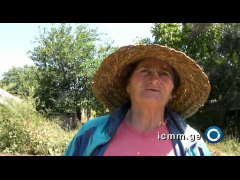 \"მადლობელი ვარ მიშასი\"