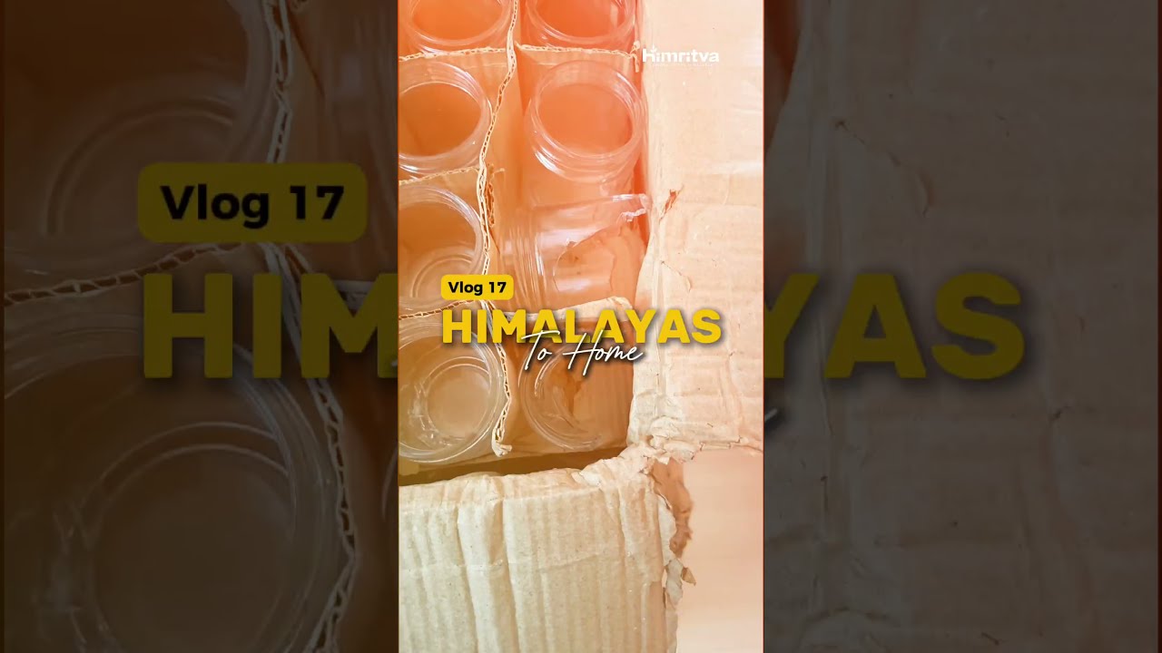 Himalayas To Home - Vlog 19