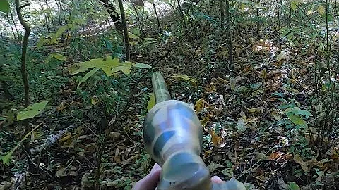 DEER DRIVES get them CLOSE and PERSONAL! (Maryland...