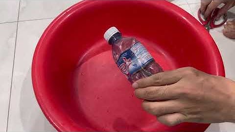 Lưu ý khi cho cá rồng ăn rết.