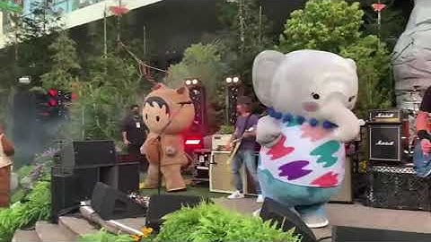 The best I’ve EVER seen of Astro - Codey - Einstein - Ruth with the Foo Fighters