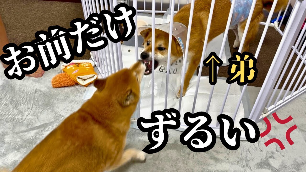 Jealousy] When my younger brother came home after surgery, my