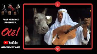 Paul Morocco ! Ole comedy show ! Happy New Year 2021 ! Enjoy some Guitar with Donkeys ! Fun Animals!