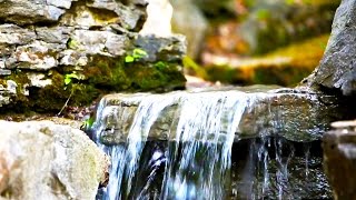 Sons da Natureza - Água Corrente e Sino Pin - Música para Relaxar, Meditar e Serenar a Mente